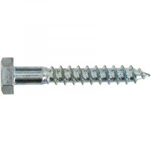Tirefond acier zingué 8x120 Vybac 30 pce Vynex