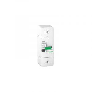 Schneider &ndash; Disjoncteur d'abonn&eacute; 1P+N 60A fixe R9E10260 &ndash; Courbe de d&eacute;clenchement 500mA &ndash; Pour installations &eacute;lectriques professionnelles