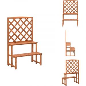 Vidaxl - Support de plantes et treillis 70x42x115cm Bois de sapin massif - Support Plante - Jardinerie - Jardin Vertical - Rangement Exterieur