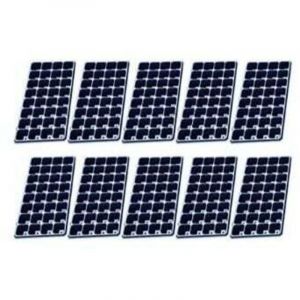 Set de culture,Plaque Alv&eacute;ol&eacute;e Semis 10 Pack Plateau de Semis, 32 Trous Cellules &agrave; Semis Plateau de D&eacute;marrage Plantation Conteneur Plaque de Semis