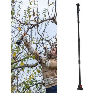 Poteau D'extension pour S&eacute;cateur &eacute;lectrique sans Fil, Poteau T&eacute;lescopique en Aluminium pour Tron&ccedil;onneuse Coupe-Branches Hautes, Outil de Poteau