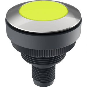 Rafi - 1.11.011.001/0440 ramo 30 Bouton-poussoir 35 v 0.1 a &agrave; rappel (l x l x h) 34.5 x 34.5 x 40 mm 1 pc(s) V301803