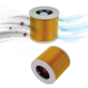 Lot de 2 filtres &agrave; cartouche de remplacement pour K&auml;rcher A2004, A2054, A2204, A2656, WD2.250, WD3.200, WD3.300