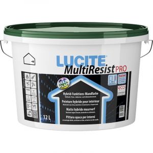 Multiresist Pro - 128526 - 5 Litres - Lucite