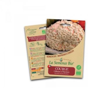 Courge galeuse d'eysines - La Semence Bio