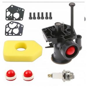 R&eacute;servoir de carburant 498809 et kit de carburateur 795469 pour moteurs Briggs & Stratton s&eacute;ries 9J900 9L900 9S500 9B900 9C900 9D900 9E900. Remplace