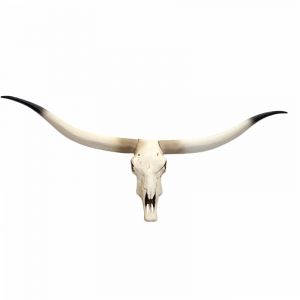 HHG - Cr&acirc;ne de d&eacute;coration vache 698, polyresin, troph&eacute;e de taureau avec cornes, 103x43x11cm