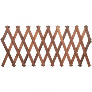 Focket Cl&ocirc;ture en Treillis, &eacute;tendue &agrave; 120 x 35cm, 155 x 30cm, 180 x 25cm, Mur en Treillis en Bois, Treillis Extensible en pin pour Plantes
