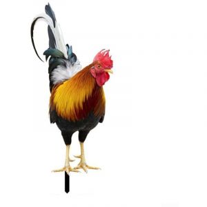 Statues et sculpture de coq de jardin, poule en métal, décoration de pelouse, œuvre d'art pour extérieur, terrasse, jardin et décoration de la
