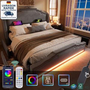 Modfu - Lit avec tiroirs 180x200 cm,Lit adulte 180x200 cm - sans matelas, lits doubles led, usb, velours, gris
