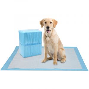 EINFEBEN Tapis Absorbant Chien, 120 Pi&egrave;ces, 60 &times; 60 cm Alaise Jetable Al&egrave;se Pipi Propret&eacute; Educateur Chien Animaux, Aleze Impermeable, Pee Pad