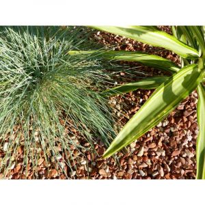 Classgarden &ndash; Galet d&eacute;coratif rouge 6-12 mm &ndash; Sac de 20 Kg &ndash; Pour all&eacute;es et parterres &ndash; &Eacute;clat intense &agrave; l'humidit&eacute;