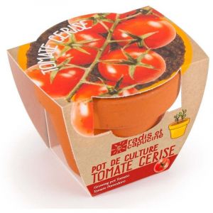 Mini kit de culture - Tomate Cerise bio - 6cm