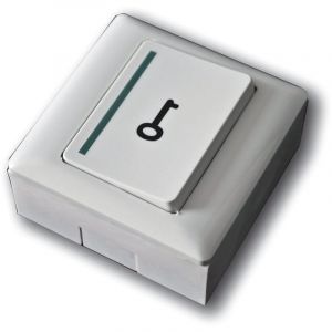 Bouton poussoir - no/nf - boitier abs - saillie - avec symbole clé Acie bopo