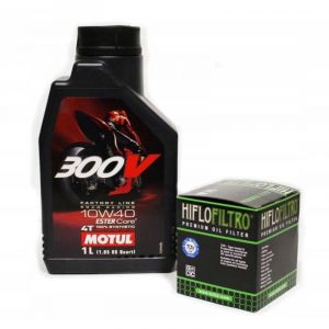 Huile Motul 300V 10W40 1L + filtre &agrave; huile Hiflo HF141 YZF 250 45 WRF YFZ ATV