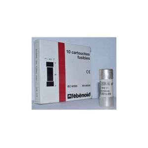 L'ebenoid - Fusible 95A cartouche 22X58mm gG usage industriel (boite de 10) hpc 120kA 500V avec voyant et percuteur ebenoid 061695