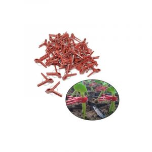 Aiperq - Clip de greffage de tomate semis clip de greffage clip de greffage d'aubergine 100 pcs clip de greffage bouche ronde