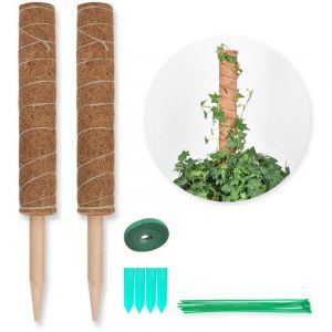Swanew Tuteur Coco Tuteurs pour Plantes Grimpante Support Plante Grimpante Tuteur Plante Interieur 2 pièces