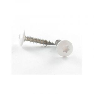 Vis Express - Vis Penture 7X50 Filetage total torx T30 Inox A2 Laqué blanc RAL9016 blanc signalisation-1 pièce