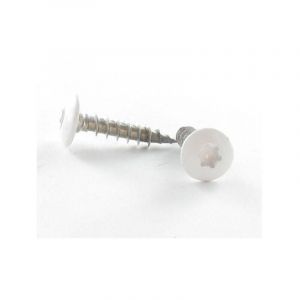 Vis Penture 7X50 torx T30 Inox A2 Laqué blanc RAL9016 blanc signalisation Conditionnement: 1 pièce