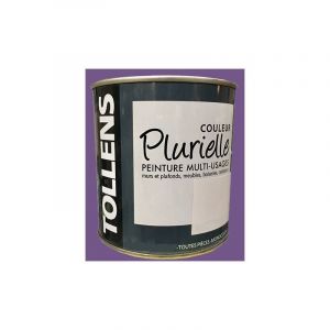 Tollens - Peinture acrylique multi-usages 'Couleur Plurielle' satin Envoûtante 0,5 l