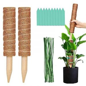 Largeight - Tuteur Plante Grimpante Int&eacute;rieur, Tuteur Monstera Coco, Tuteurs pour Plantes 50 Cm, Support pour Plantes Grimpantes D'int&eacute;rieur Tuteur
