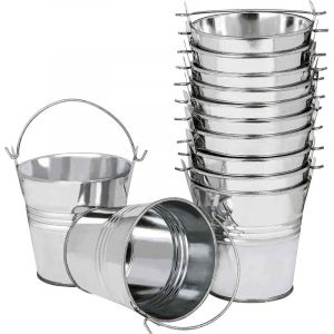 12 Pi&egrave;ces Mini Pots de Fleurs Suspendus en M&eacute;tal, 6cm Pots de Fleurs Seau &agrave; Fleurs Suspendu avec Poign&eacute;e Amovible pour Balcon Cl&ocirc;ture Jardin