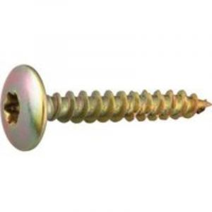 Vis Penture zingu&eacute;e PANELVIT PENTURE TX30 7x50 bte de 100 Mustad