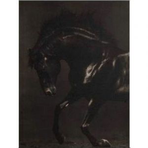 D&eacute;coration murale noir et blanc th&egrave;me cheval 50 x 40 cm