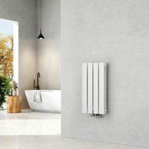 EMKE Radiateur eau chaude en acier Tube plat Montage mural Horizontal design Blanc 60x30cm Double Couche