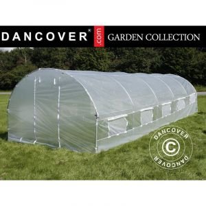 Dancover - Serre Tunnel 3x8x2m, 24m², Transparent
