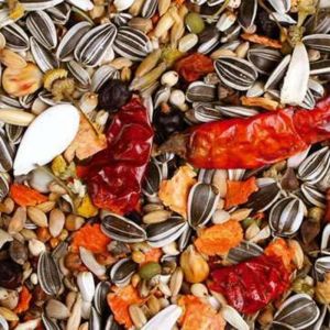 Jr Farm Individual Africa Grey - Nourriture PREMIUM d&eacute;di&eacute;e aux Gris du Gabon 950g