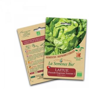 Graines Bio - Laitue pomm&eacute;e kagraner sommer 2 - Semence biologique