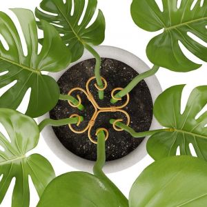 Lot de 4 tuteurs en fer pour plantes Monstera, tuteurs pour plantes d'intérieur au design unique pour favoriser la croissance des plantes