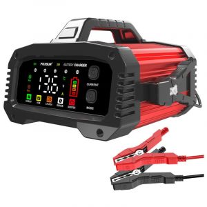 Benobby Kids - Chargeur de batterie de voiture foxsur 25A, Portable 12V/25A 24V/15A, Coque en alliage d'aluminium, Fonction booster