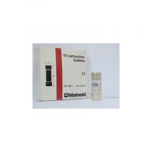 L'ebenoid - Fusible 20A cartouche 22X58mm gG usage industriel (boite de 10) hpc 120kA 660V avec voyant et percuteur ebenoid 061620