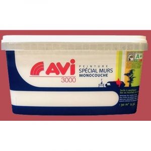 Peinture Sp&eacute;cial Murs Satin AVI Rouge pivoine 2,5 l