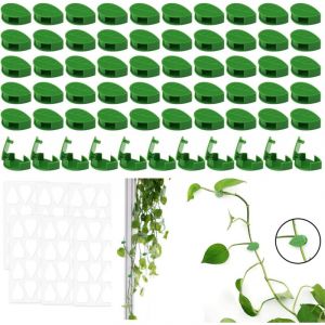 60 Pi&egrave;ces Clip Plante Grimpante Mur, Clips Plantes Auto-adh&eacute;sifs en Forme de Feuille Clip Plante Grimpante Clips de Support de Plantes pour Plantes