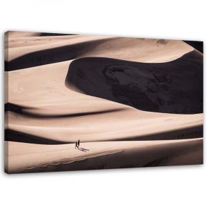 Tableau d&eacute;co D&eacute;sert Sable Nature 60x40