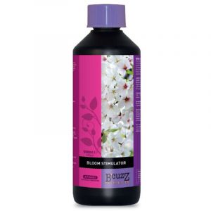B'Cuzz Bloom Stimulator 500Ml Fr - Atami