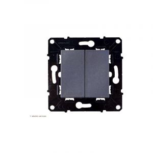 Double Interrupteur ou Va-et-vient 10A Evolution Arnould Finition: Magnesium