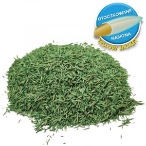 Barenbrug RPR Lawn 15 kg Graines de gazon Auto-régénérantes Auto-épaississantes