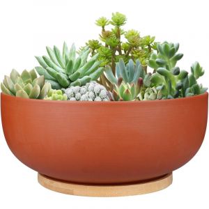 Grand pot de fleurs rond en terre cuite de 25 cm avec trou de drainage et soucoupe en bambou pour plantes d'int&eacute;rieur, couleur terre cuite