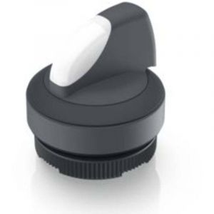 1.30.272.201/2201 x 22 fs+ Bouton-poussoir lumineux &agrave; rappel 1 x 90 &deg; 1 pc(s) V303953 - Rafi