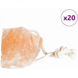 Pierres à Lécher en Sel 20 pcs Rose Pierres