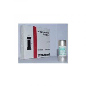 L'ebenoid - Fusible 6A cartouche 22X58mm aM usage industriel (boite de 10) hpc 80kA 660V sans percuteur ebenoid 060406