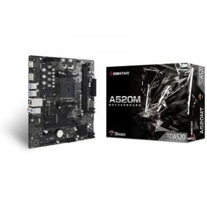 Carte mère Biostar A520MT