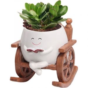 Pots de fleurs avec visage &agrave; bascule, pot de fleurs avec visage souriant, pots de fleurs succulentes avec trou de drainage, chaise &agrave; bascule, pots de