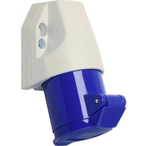 Walther - Werke 110306 110306 Prise murale femelle cee 16 a 3 pôles 230 v 1 pc(s)