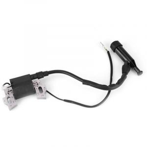 Pi&egrave;ces de g&eacute;n&eacute;rateur de bobine d'allumage pour g&eacute;n&eacute;rateur d'essence 168F-170F 2KW/3KW